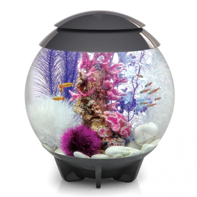 Орнамент 'Риф', розовый, Reef ornament pink