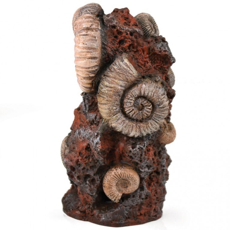 Декоративная фигура 'Старая раковина', Ornament ancient conch