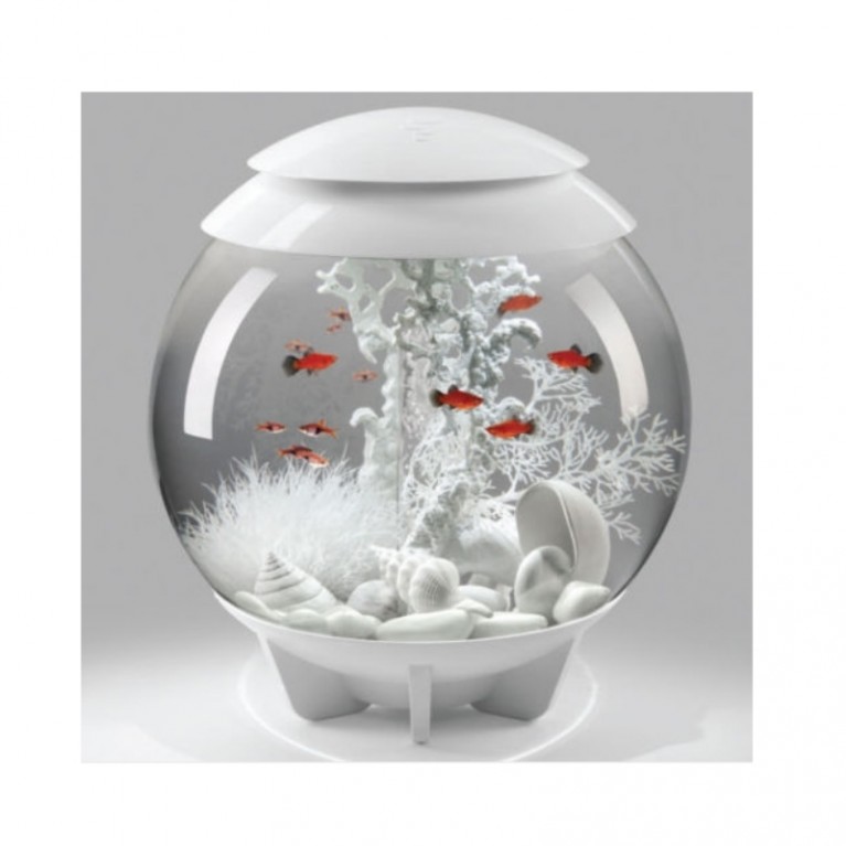 Коралл средний, белый, Fan coral ornament medium white
