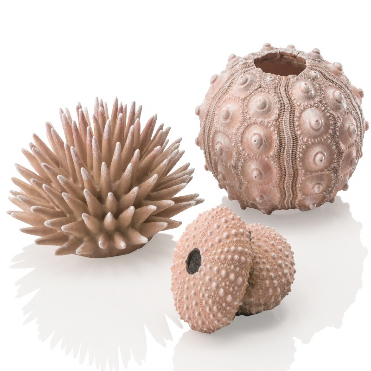 Набор декор. элементов 'Морской ёж', бежевый, sea urchins set natural