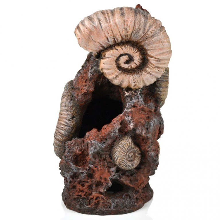 Декоративная фигура 'Старая раковина', Ornament ancient conch