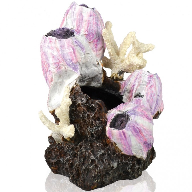Декоративная фигура 'Розовая морская уточка', Barnacle ornament small pink