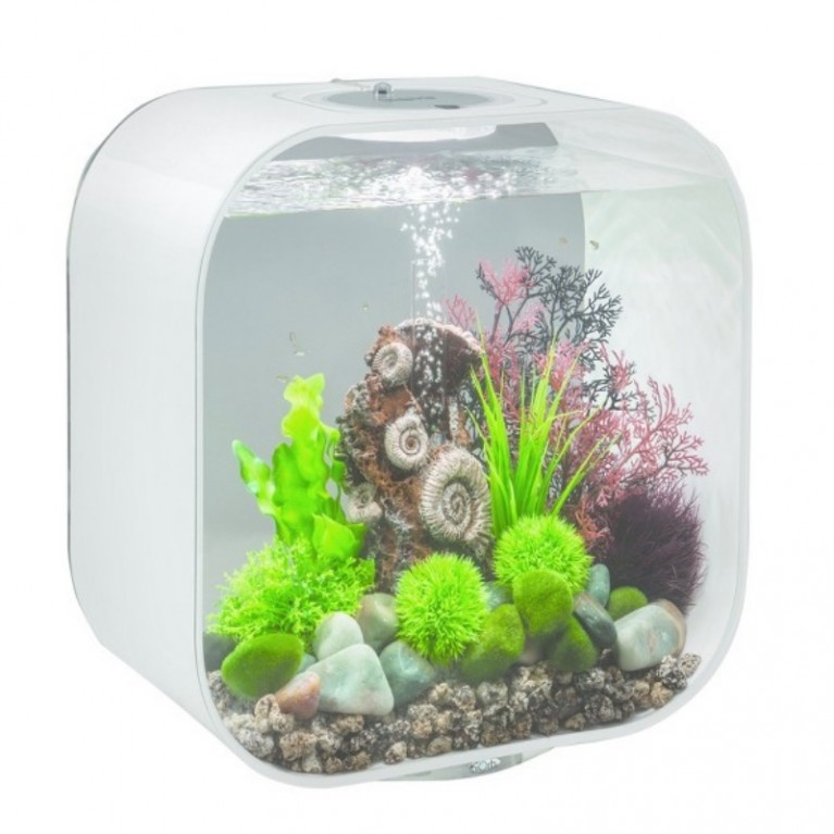 Декоративная фигура 'Старая раковина', Ornament ancient conch