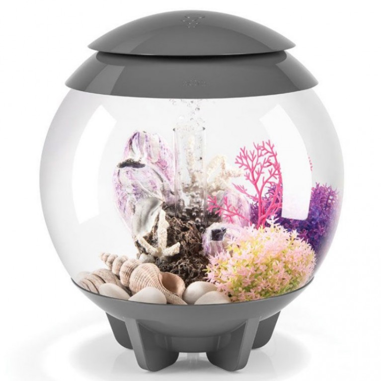 Декоративная фигура 'Розовая морская уточка', Barnacle ornament small pink