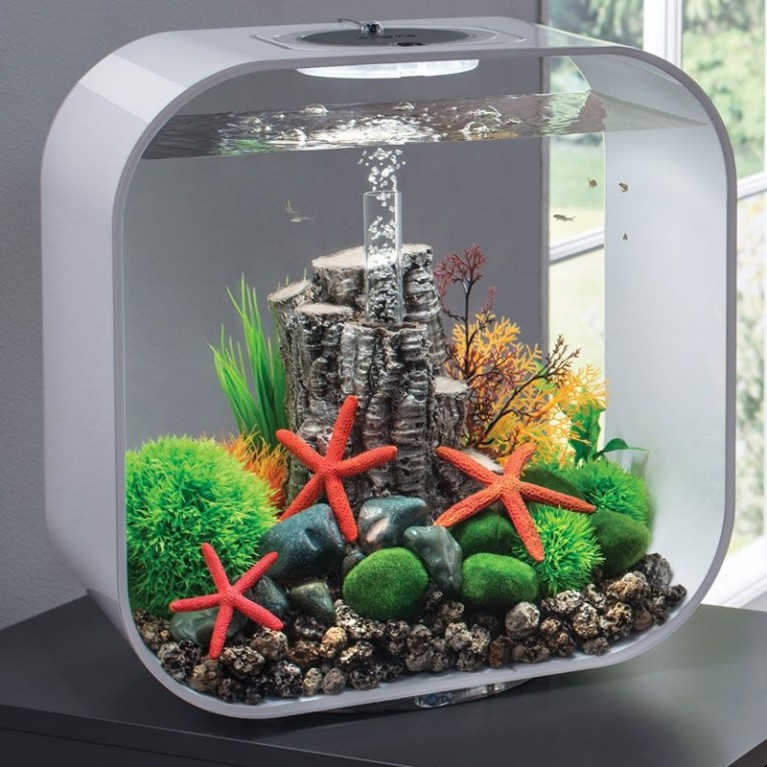 Декоративная фигура 'Гриб на бересте', fungus on bark ornament