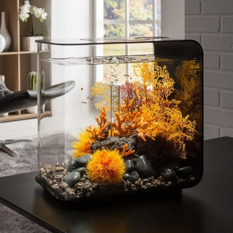 Застывшая лава с огненным коралом, Lava rock with fire coral ornament