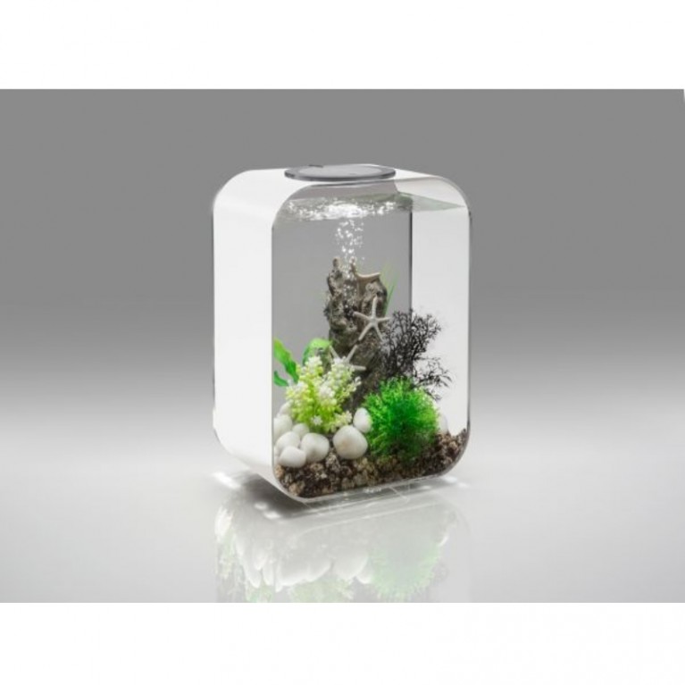 Декоративная фигура 'Камень с морскими звездами', Sea star rock ornament