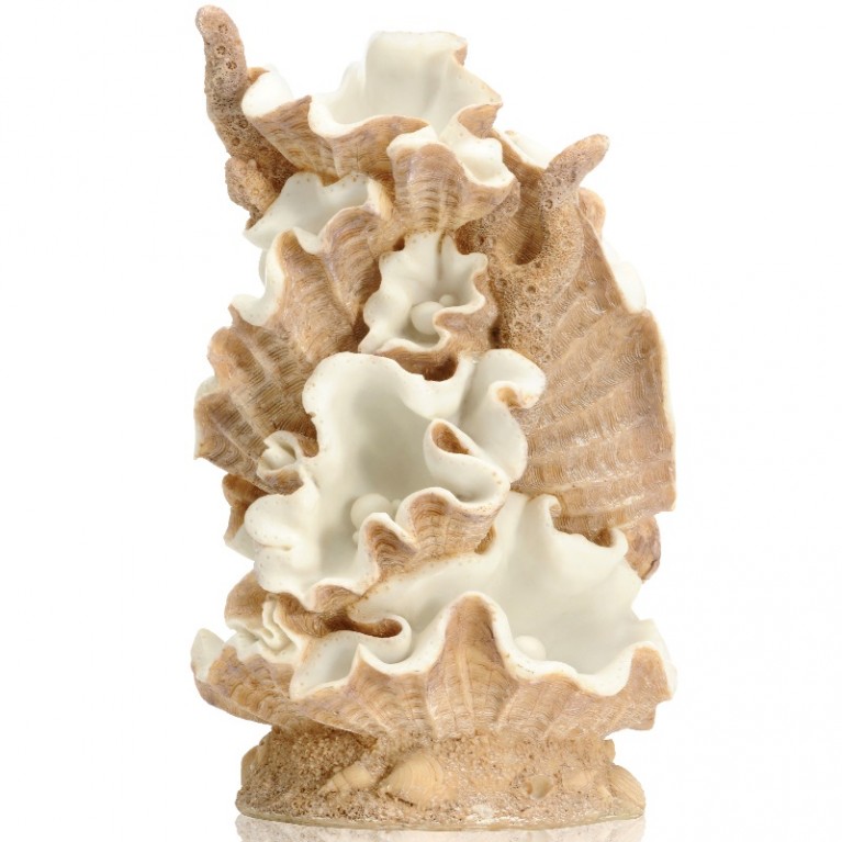 Орнамент из ракушек, большой Clamshell ornament large