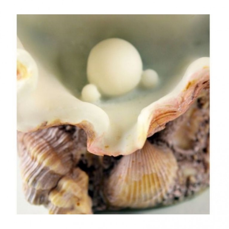 Орнамент из ракушек, средний Clamshell ornament medium