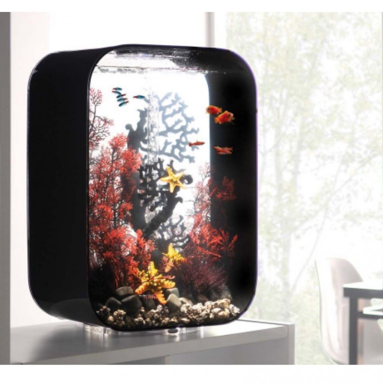 Коралл черный, Fan coral ornament black