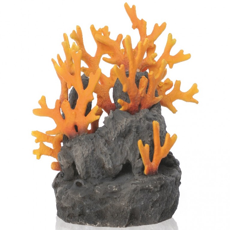 Застывшая лава с огненным коралом, Lava rock with fire coral ornament