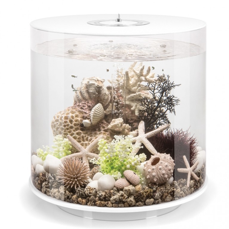 Декоративная фигура 'Коралловые ракушки', coral-shells ornament natural