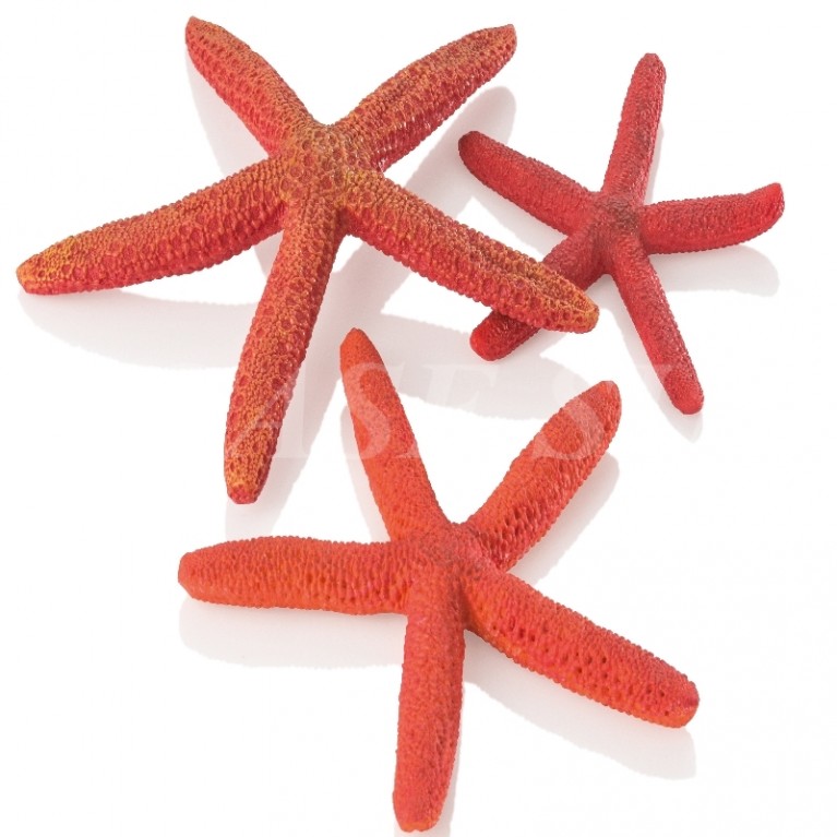 Набор красных морских звезд, Starfish set 3 red