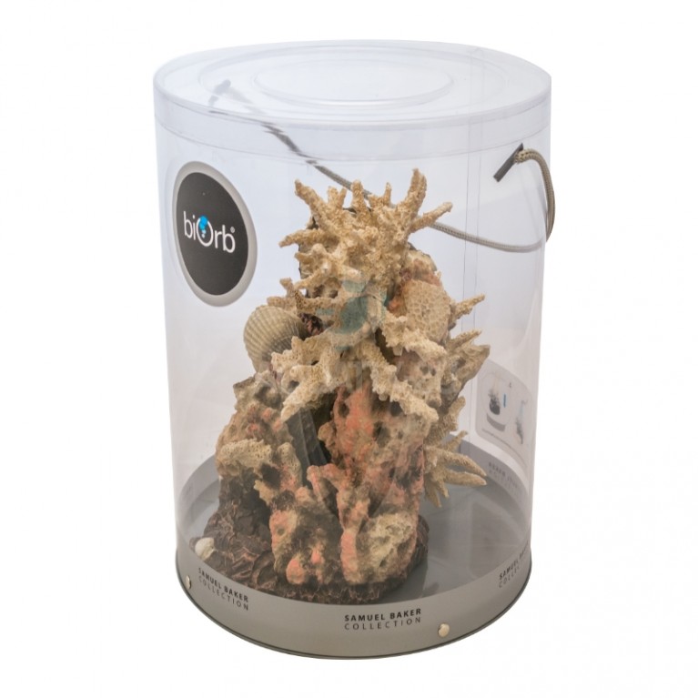 Декоративная фигура 'Коралловые ракушки', coral-shells ornament natural