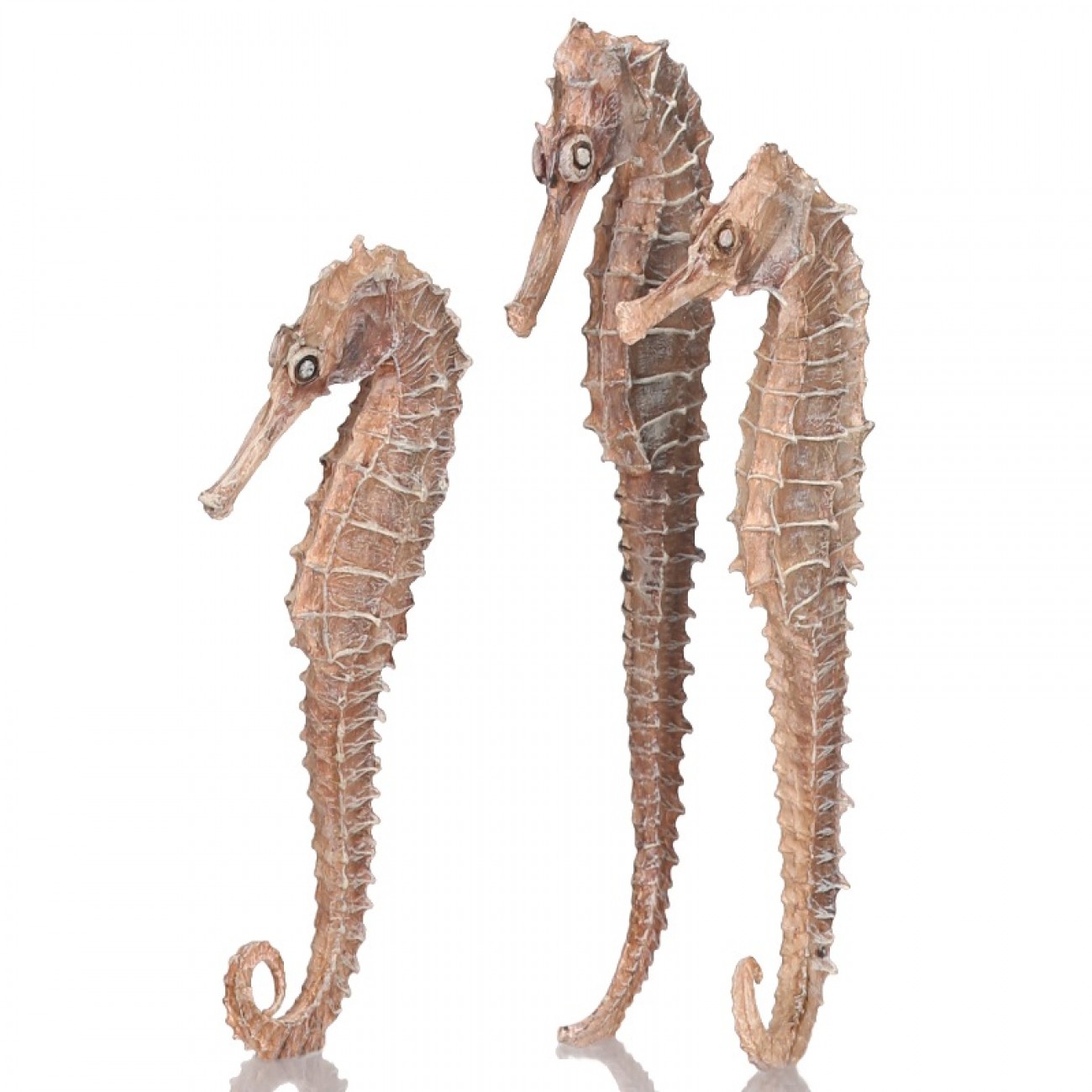 Набор из 3-х морских коньков seahorse 3 pack natural