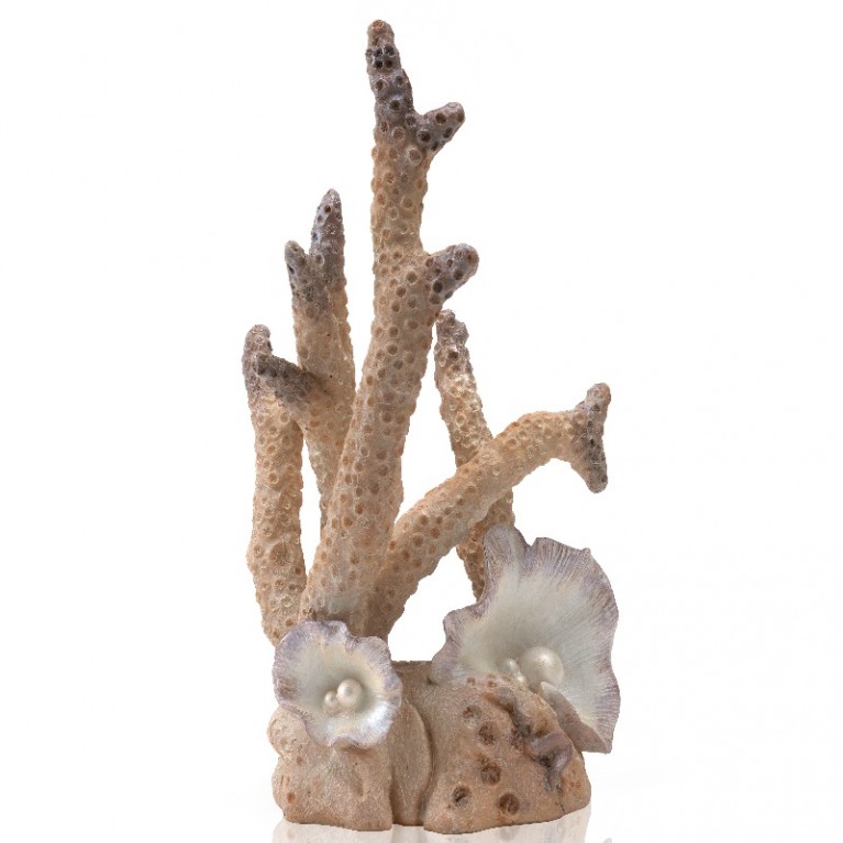 Корал большой, Coral ornament large