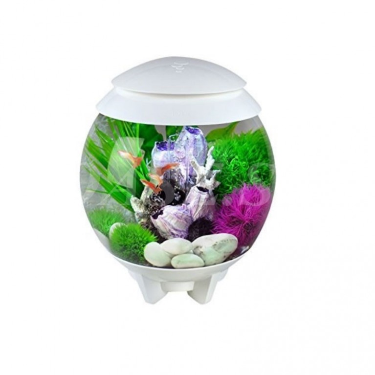 Декоративная фигура 'Скопление морских уточек', barnacle cluster ornament