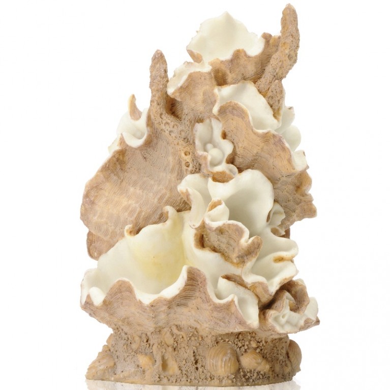 Орнамент из ракушек, средний Clamshell ornament medium