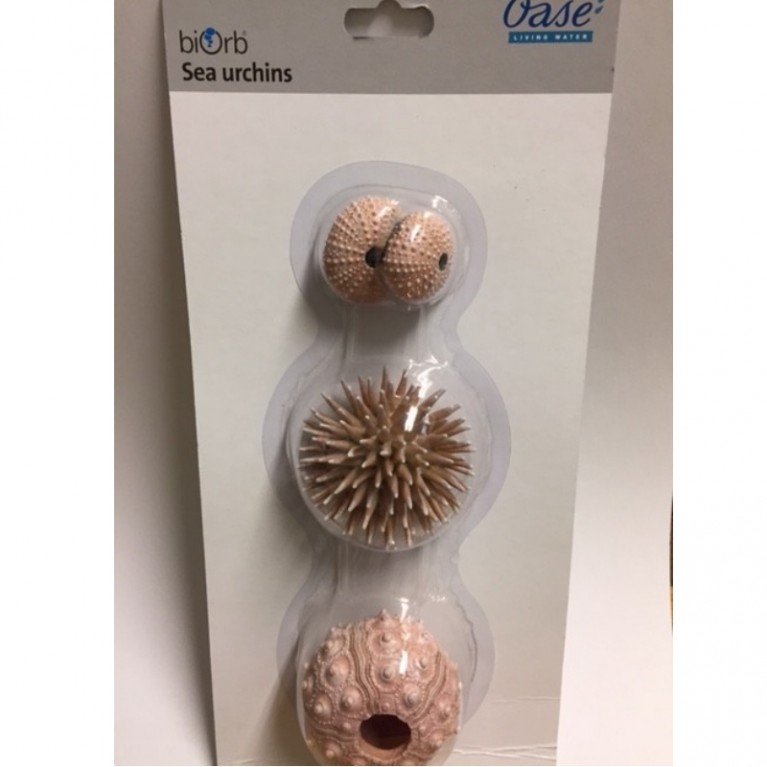 Набор декор. элементов 'Морской ёж', бежевый, sea urchins set natural