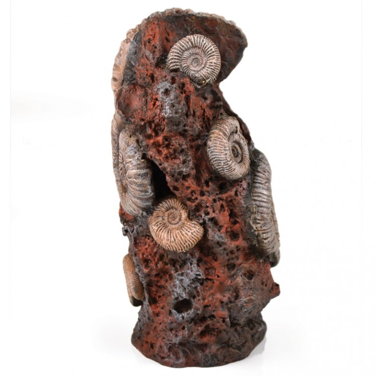 Декоративная фигура 'Старая раковина', Ornament ancient conch