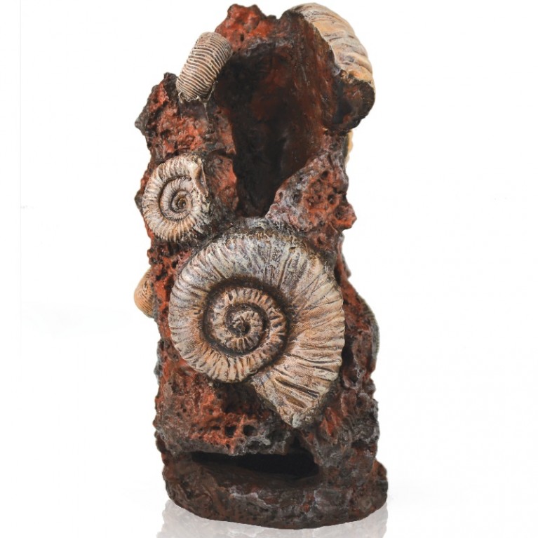 Декоративная фигура 'Старая раковина', Ornament ancient conch