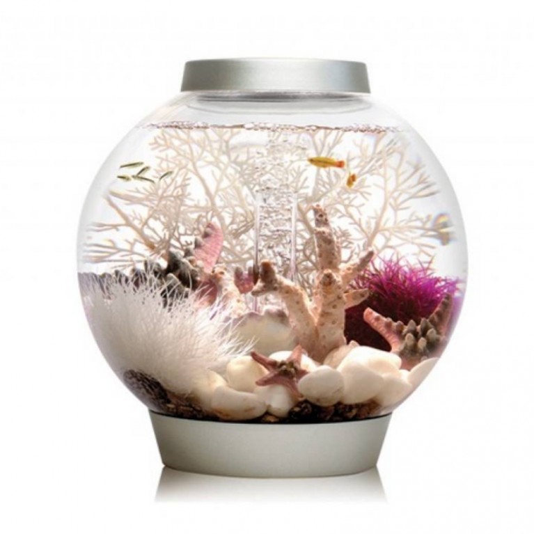 Коралл средний, Coral ornament medium