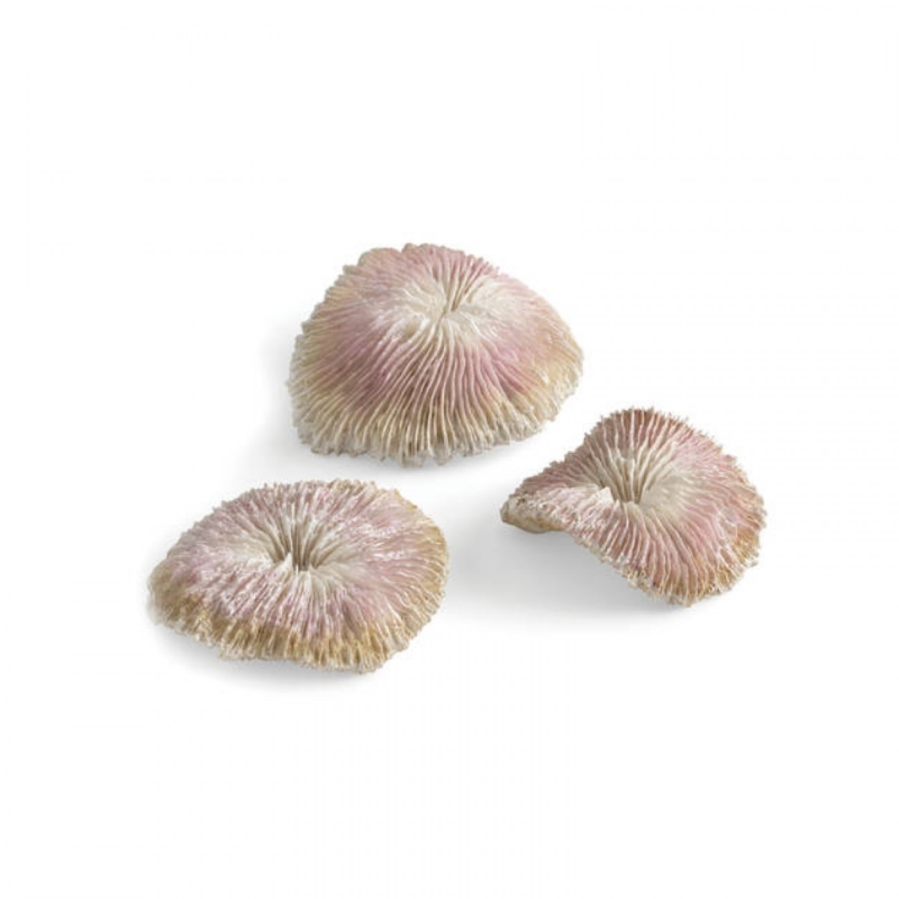 Набор пластиновых корал, Plate coral set (72675)