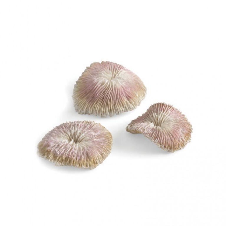 Набор пластиновых корал, Plate coral set (72675)