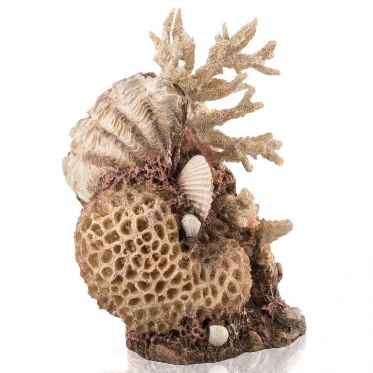 Декоративная фигура 'Коралловые ракушки', coral-shells ornament natural