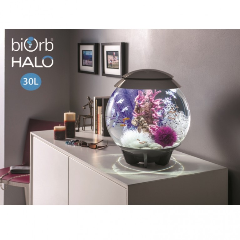 Орнамент 'Риф', фиолетовый, Reef ornament purple