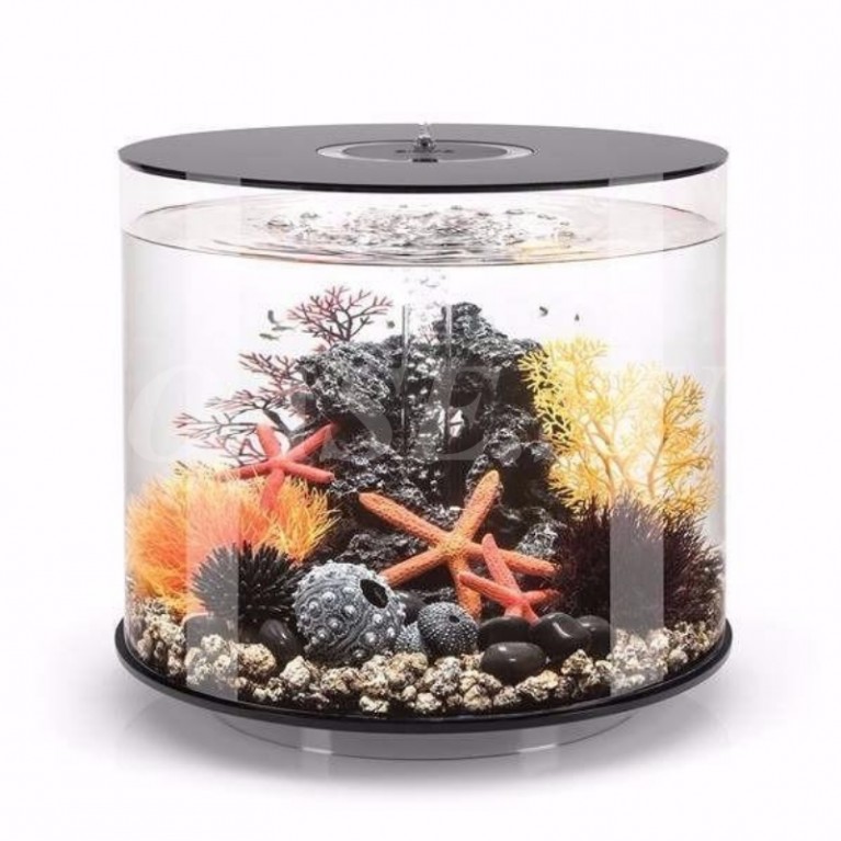 Набор красных морских звезд, Starfish set 3 red