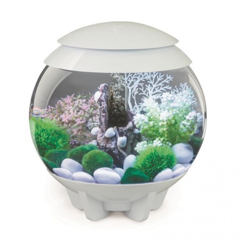 Декоративная фигура 'Ракушки на коре', Shells on bark ornament white