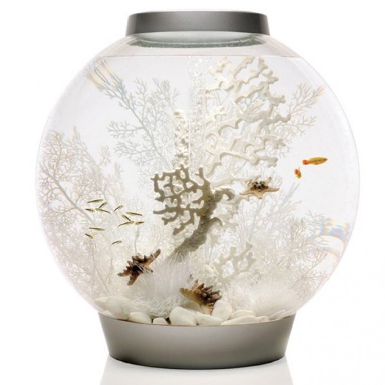 Коралл средний, белый, Fan coral ornament medium white