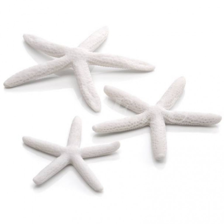 Набор белых морских звезд, Starfish set 3 white