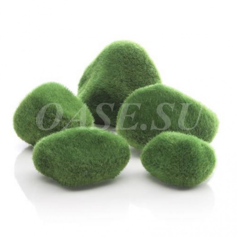 Галька покрытая мхом, Moss pebbles