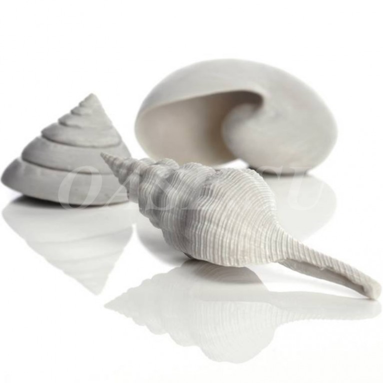 Набор морских ракушек, Sea shell set 3 white