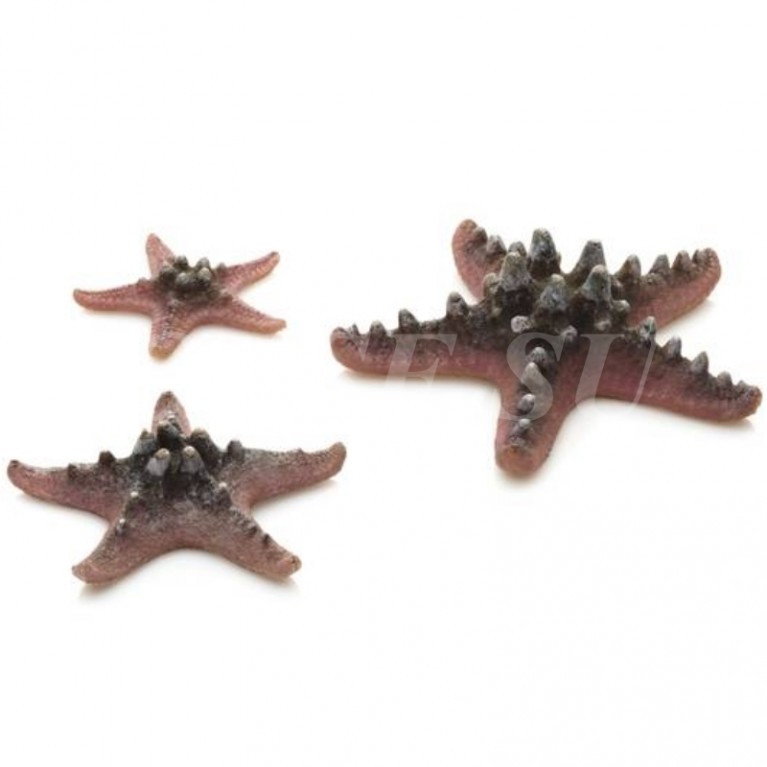 Набор розовых морских звезд, Starfish set 3 pink