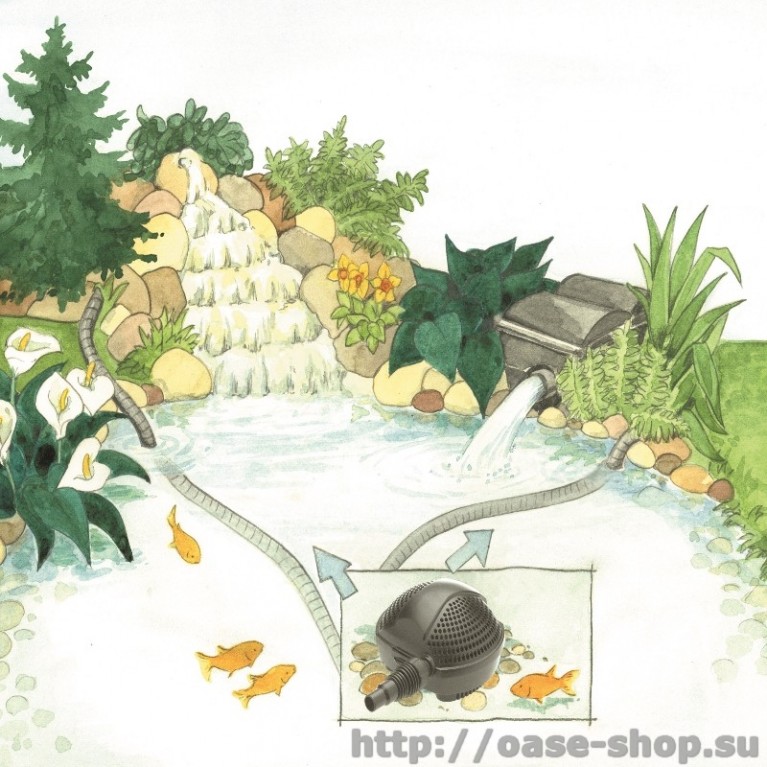 Pontec PondoMax Eco 17000