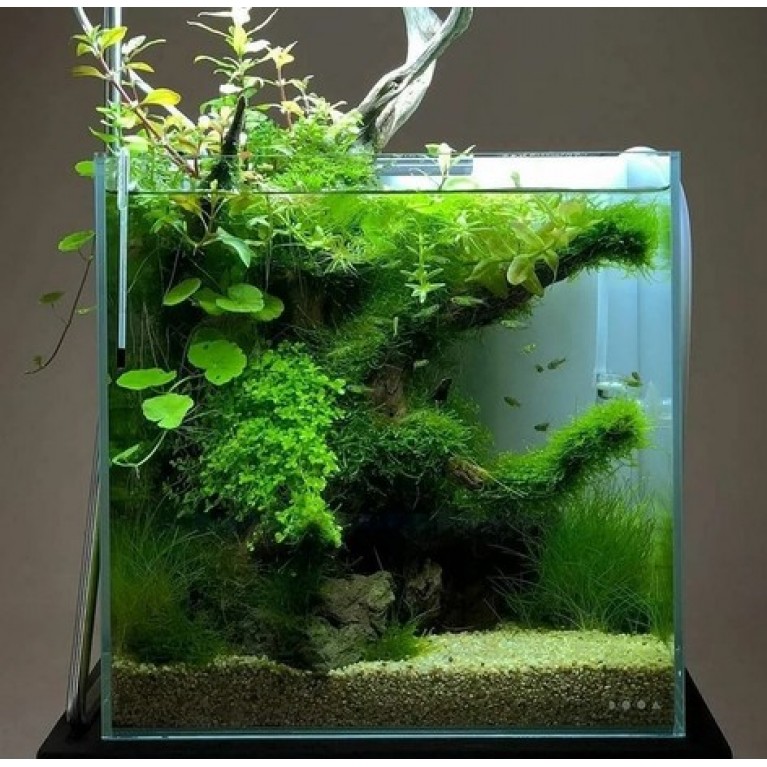 Аквариумный набор AquaScape Куб 16л, 25*25*25см, конциционер для воды, фильтр- насос-аэратор в комплекте