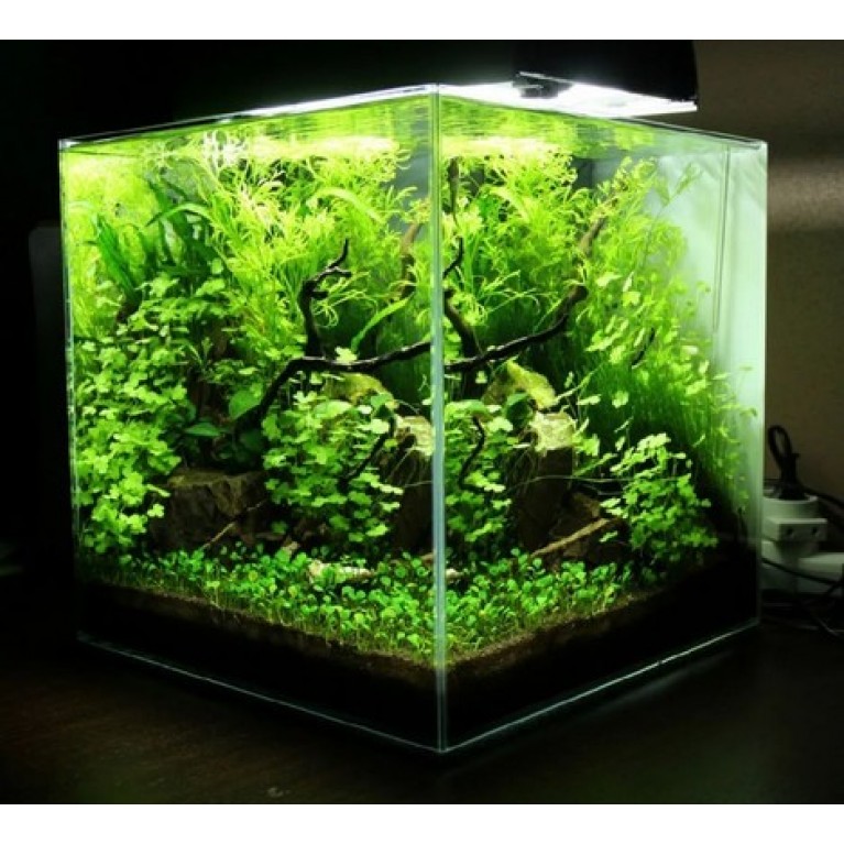 Аквариумный набор AquaScape Куб 16л, 25*25*25см, конциционер для воды, фильтр- насос-аэратор в комплекте