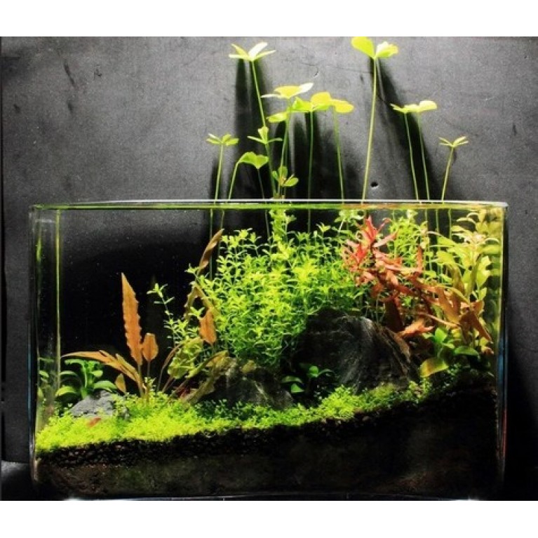 Аквариумный набор AquaScape прямоугольный 5л, 25*13*15,5см, конциционер для воды, фильтрнасос-аэратор в комплекте