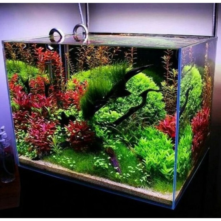 Аквариумный набор AquaScape прямоугольный 5л, 25*13*15,5см, конциционер для воды, фильтрнасос-аэратор в комплекте