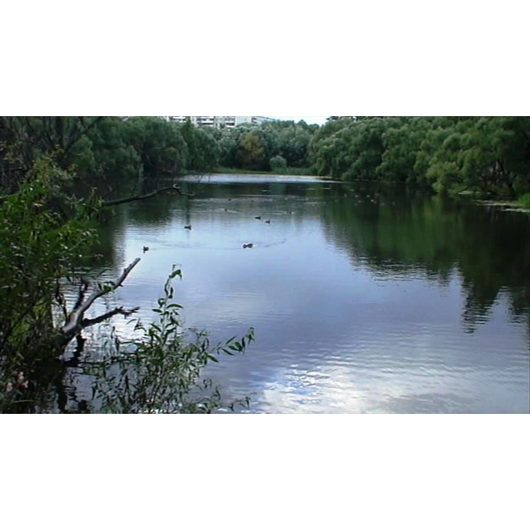 Биопрепарат Микрозим "Понд Трит", 5000гр, для пруда до 1000м2 (на весь сезон)