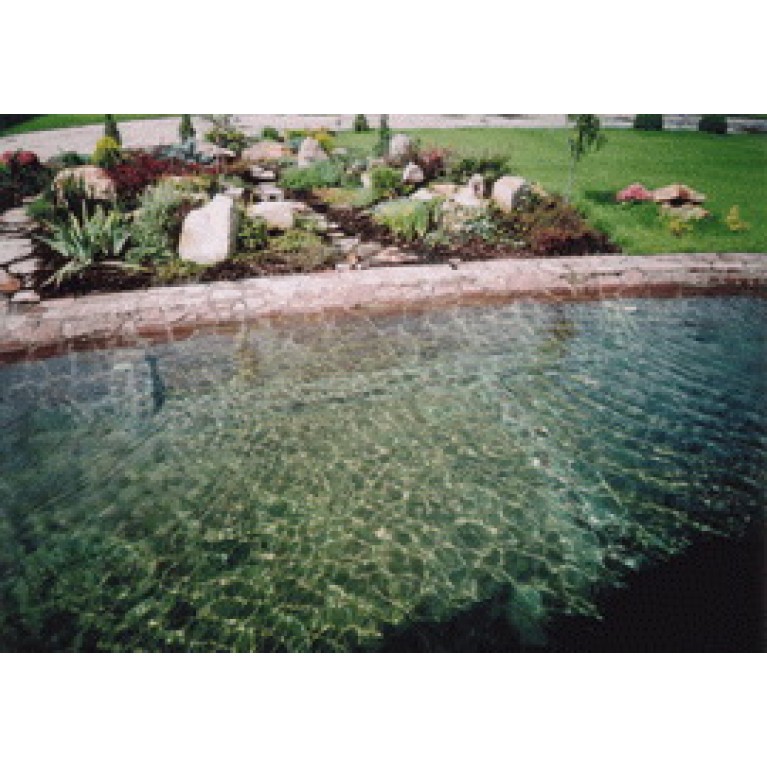 Биопрепарат Микрозим "Понд Трит", 5000гр, для пруда до 1000м2 (на весь сезон)