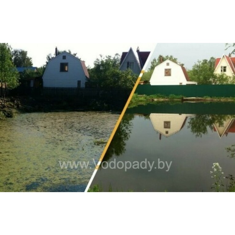 Хлорелла для прудов и водоемов "CHLORELLER" ДЛЯ ОЧИСТКИ и алголизации ПРУДов НА ОСНОВЕ ХЛОРЕЛЛЫ VULGARIS, 10Л (ДЛЯ ПРУДА ДО 2000М2)