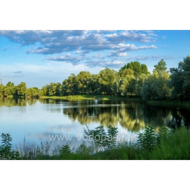 Хлорелла для прудов и водоемов "CHLORELLER" ДЛЯ ОЧИСТКИ и алголизации ПРУДов НА ОСНОВЕ ХЛОРЕЛЛЫ VULGARIS, 10Л (ДЛЯ ПРУДА ДО 2000М2)