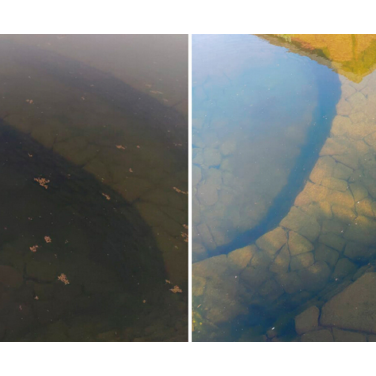 Cредство осветления воды для пруда на основе полимеров двухкомпонентный Pond Zinger (до 45 м³)