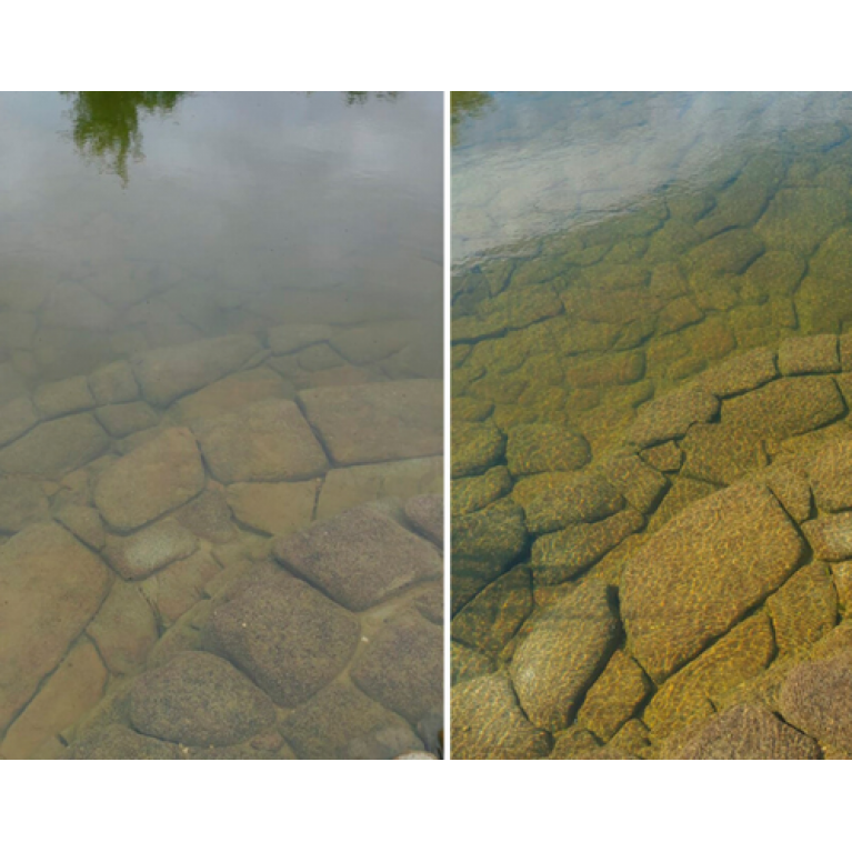 Cредство осветления воды для пруда на основе полимеров двухкомпонентный Pond Zinger (до 45 м³)