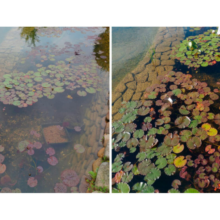 Cредство осветления воды для пруда на основе полимеров двухкомпонентный Pond Zinger (до 45 м³)