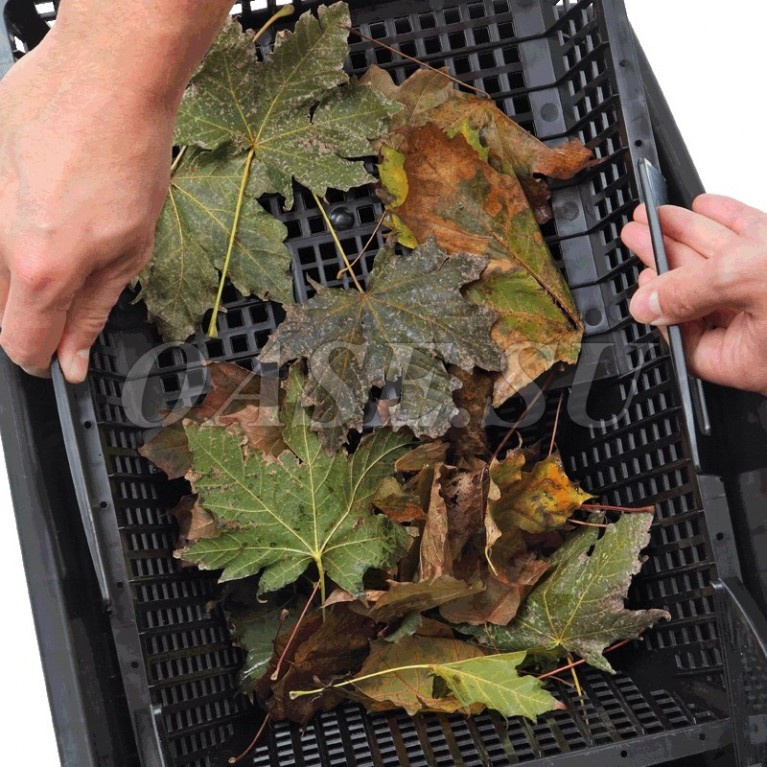 Скиммер береговой Oase Biosys +, для площади 50м2, 6000-16000 л/ч, 580*400*450, с декор, крышкой, шл, 25-40мм